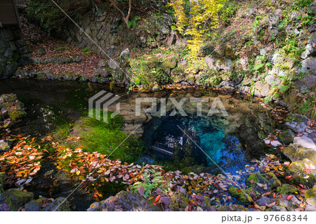 山梨県 忍野村 秋の忍野八海、お釜池 97668344