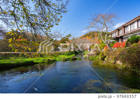 山梨県 忍野村 秋の忍野八海、濁池 97668357