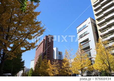 仙台市青葉区　広瀬通の周辺　市街地　ビル街 97668434