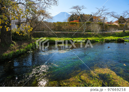山梨県 忍野村 秋の忍野八海、濁池と富士山 97669258