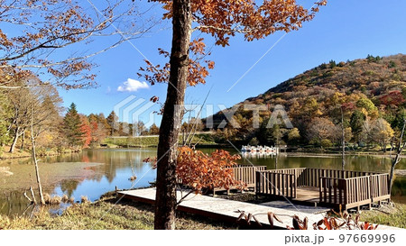 秋晴れの青空に映える矢筈池と萩太郎山〈茶臼山高原/愛知県豊根村〉 97669996