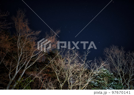 星空　枯れ木　夜景 97670141