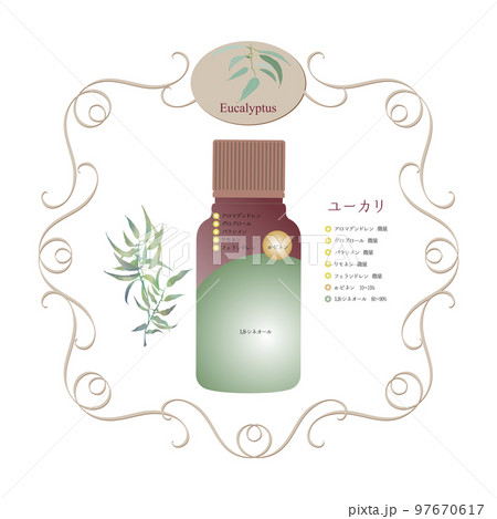 ユーカリ精油の成分表・ユーカリ・樹木系の香り成分図・ウッディー系の香り・アロマ・精油 ユーカリ精油の成分表・ユーカリ・樹木系の香り成分図・ウッディー系の香り・アロマ・精油 97670617