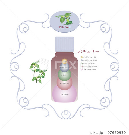 パチュリ精油の成分表・パチュリ・オリエンタル系の香り成分図・アロマ・精油 97670930