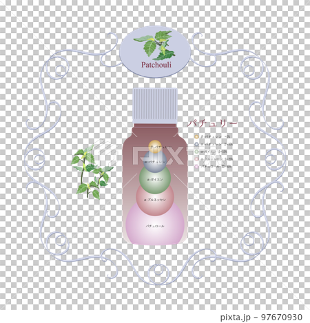 廣藿香精油成分錶 廣藿香和東方香精成分圖 香氣 精油 廣藿香精油成分錶 廣藿香和東方香精成分圖 香氣 精油 97670930
