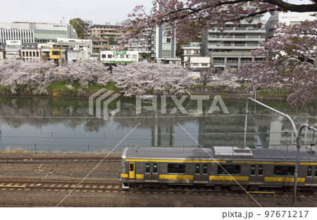 都会に咲く桜の風景イメージ 97671217
