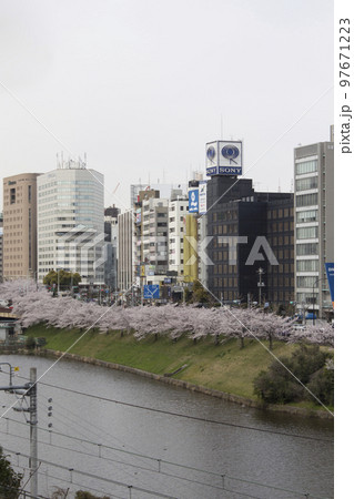 都会に咲く桜の風景イメージ 都会に咲く桜の風景イメージ 97671223