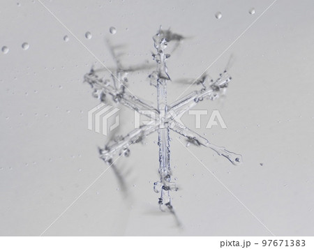 real snowflake real snowflake 97671383