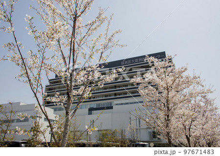 桜と病院の風景 イメージ 桜と病院の風景 イメージ 97671483