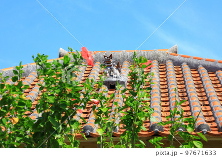竹富島　赤瓦屋根とシーサー 97671633