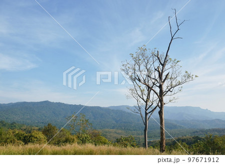 landscape of tree in sunset on mountain at Thailand landscape of tree in sunset on mountain at Thailand 97671912