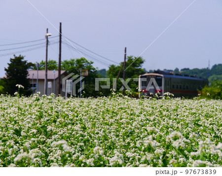 JR留萌本線 97673839