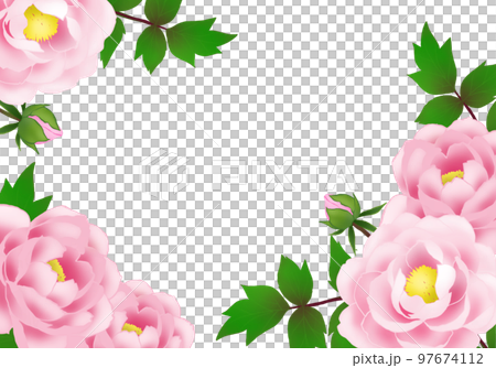 牡丹の花のフレーム 97674112