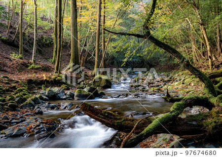 滑沢渓谷の紅葉 97674680
