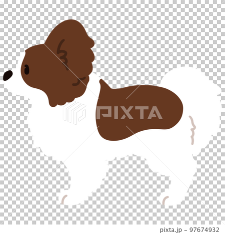 Sideways simple and cute illustration of Papillon No main line Sideways simple and cute illustration of Papillon No main line 97674932