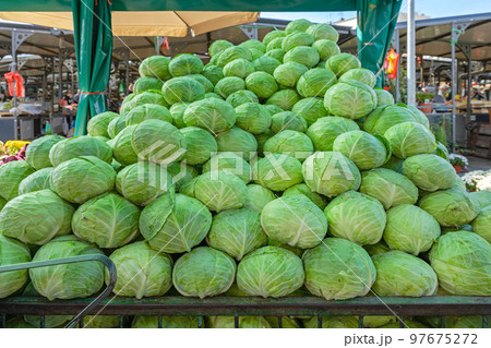 Cabbages Farmers Market Cabbages Farmers Market 97675272