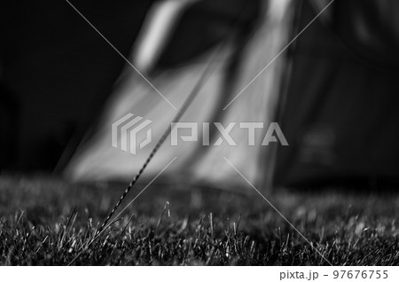 Selective focus on tent support rope leading up to the canvas to secure in-place Selective focus on tent support rope leading up to the canvas to secure in-place 97676755