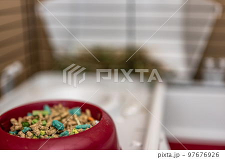 Small animal compressed high-fiber food pellets in a small dish. Small animal compressed high-fiber food pellets in a small dish. 97676926
