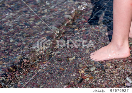 Barefoot toes in Rainbow multi-colored rocks in Avalanche creek leading towards Lake McDonald at Glacier National Park, Montana, USA 97676927