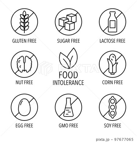 Set of isolated vector label icons for packaging design of food intolerance and diet food. No wheat. Gluten, sugar free, lactose intolerant 97677065