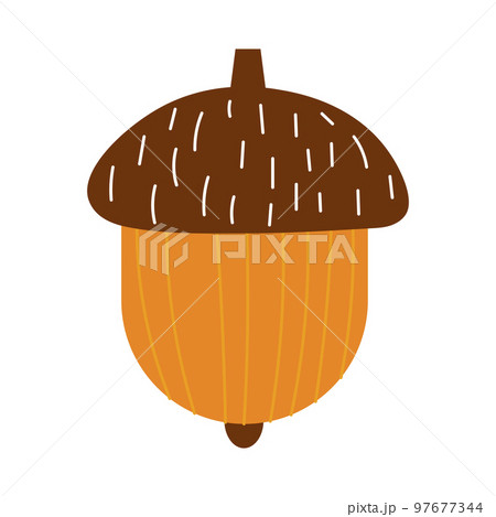 Cozy oak acorn isolated on white background, time for hygge Cozy oak acorn isolated on white background, time for hygge 97677344