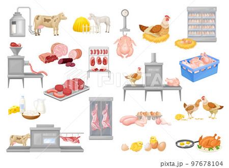 Automated Meat Production Process with Equipment and Beef and Chicken Product Big Vector Set Automated Meat Production Process with Equipment and Beef and Chicken Product Big Vector Set 97678104