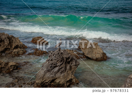 Big Pelican flies over the sea against a blue sky. Big Pelican flies over the sea against a blue sky. 97678331