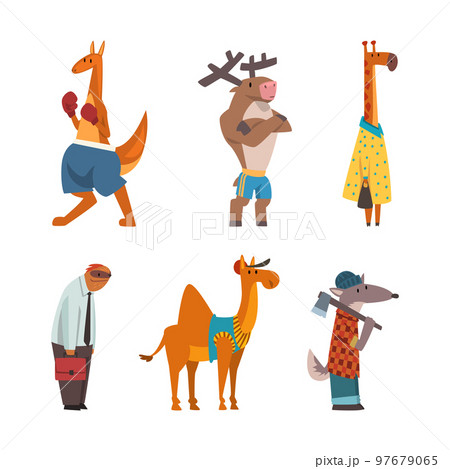 Humanized Animals of Different Professions and Wearing Clothes Vector Set 97679065