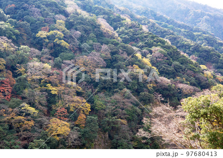 南阿蘇の紅葉した山肌 南阿蘇の紅葉した山肌 97680413