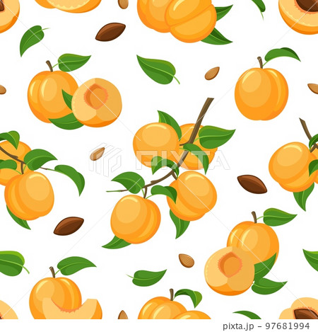 Nectarine seamless pattern 97681994