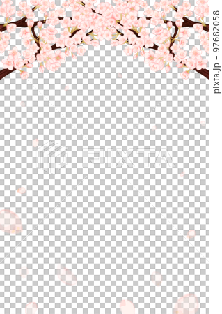 桜の花びらが散る春の白背景フレーム 97682058