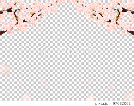 桜の花びらが散る春の白背景フレーム 97682061