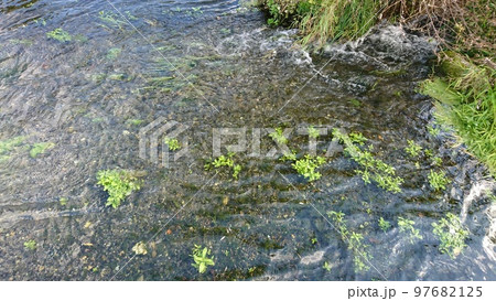 秋の安曇野憩いの池公園の風景 97682125