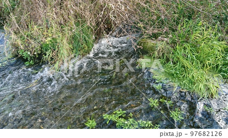 秋の安曇野憩いの池公園の風景 97682126