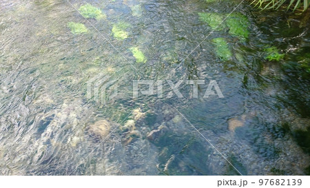 秋の安曇野憩いの池公園の風景 秋の安曇野憩いの池公園の風景 97682139