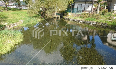 秋の安曇野憩いの池公園の風景 97682150