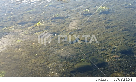 秋の安曇野憩いの池公園の風景 97682152