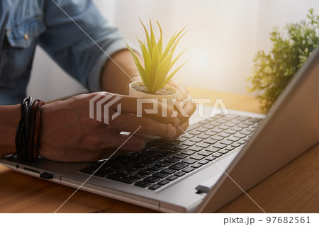 Casual Businessman Hand Hold Tree or Office Plants and Laptop 97682561