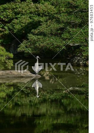 【京都】京都の中心、京都御所 (京都御苑) 落ち着いた中に伝統と歴史が詰まっていました。 【京都】京都の中心、京都御所 (京都御苑) 落ち着いた中に伝統と歴史が詰まっていました。 97683455