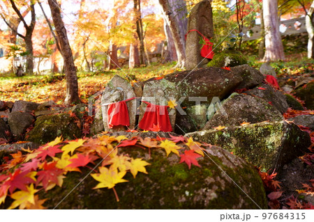 京都山寺の紅葉・イロハモミジの落葉の参道 97684315