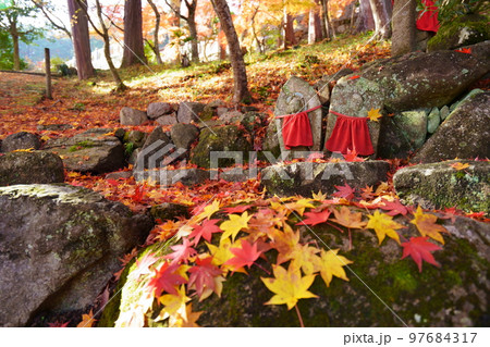 京都山寺の紅葉・イロハモミジの落葉の参道 97684317