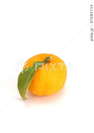柚子 97684734