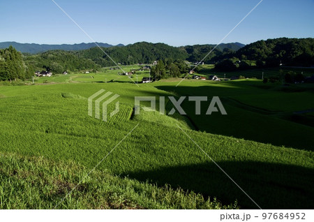 つなぐ棚田遺産三河内の棚田　夏の朝 97684952