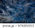 Abstract view of the overhead sky, in blue and white. Abstract view of the overhead sky, in blue and white. 97685053