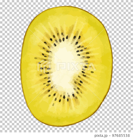 ゴールデンキウイの断面の水彩風イラスト 97685538