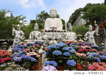 壷阪寺　奈良県 97686152