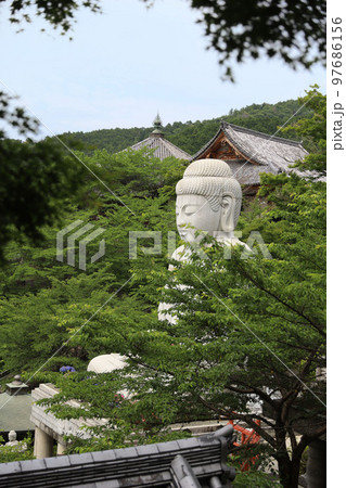 壷阪寺　奈良県 97686156