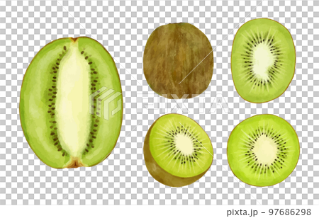 各種奇異果的水彩風格插圖集 97686298