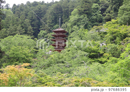 長谷寺　奈良県 97686395