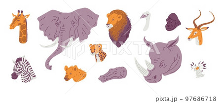 Collection of African animals heads, flat vector illustration isolated on white background. 97686718